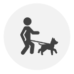 dog walking